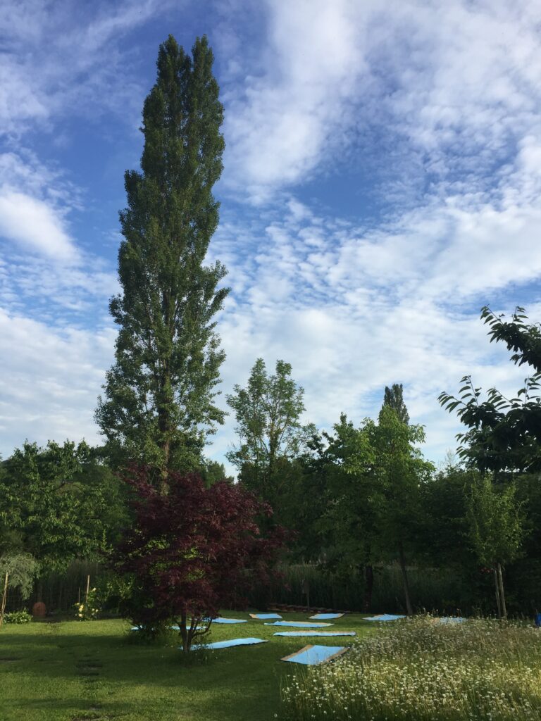 Yoga_Flavia_Schmid_Cranio_Raium410_am Weiher