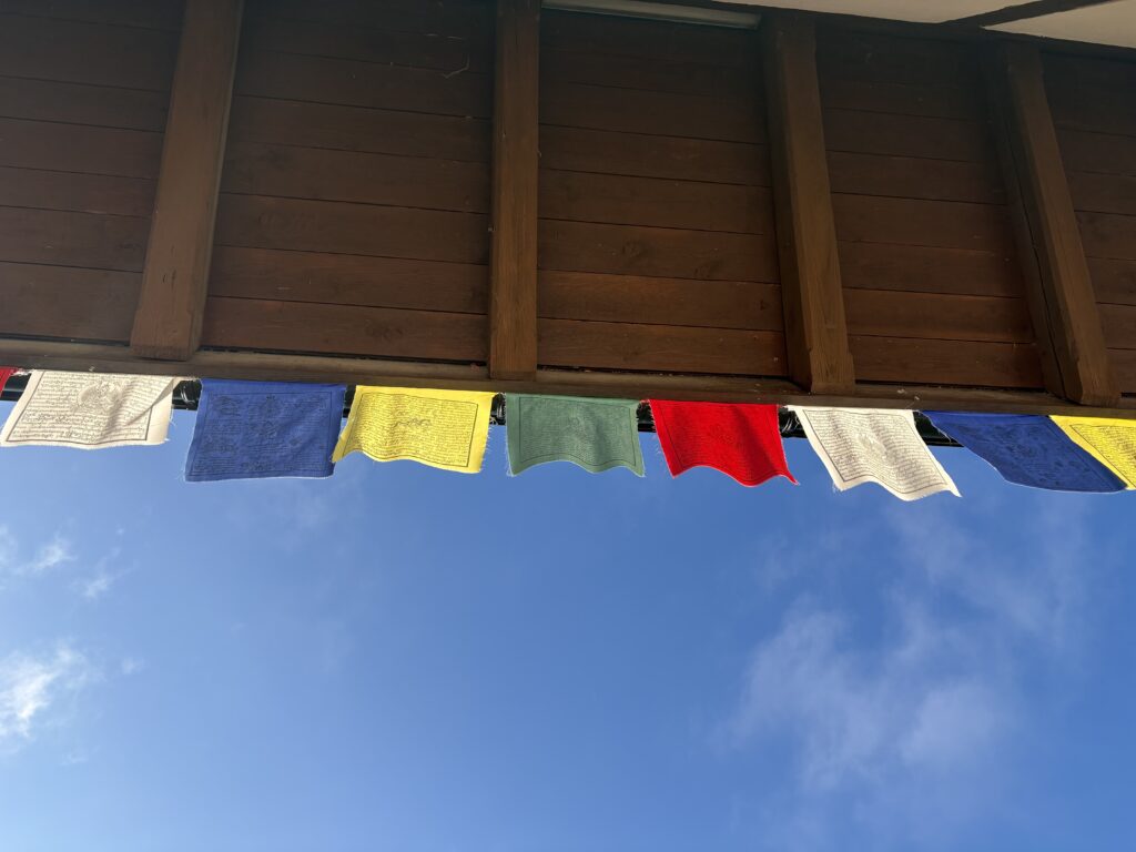 Yoga_Cranio_Flavia_Schmid_ Raum410_Draussen